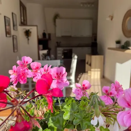 Casa Saline Διαμέρισμα